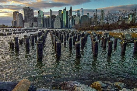 jeffrey bary's flickr
