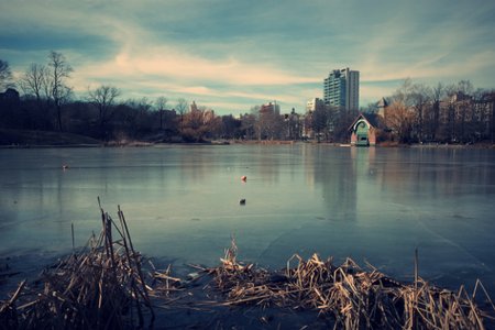 nilspix's flickr