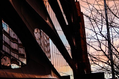 pat calligy's flickr