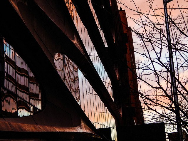 pat calligy's flickr