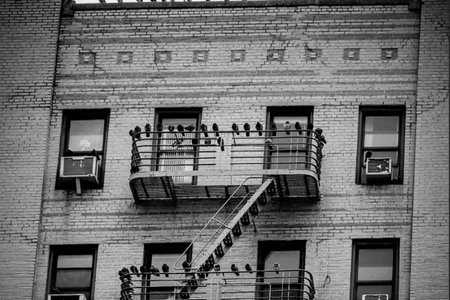 sharese ann frederick's flickr