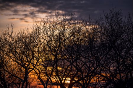 raphe evanoff's flickr