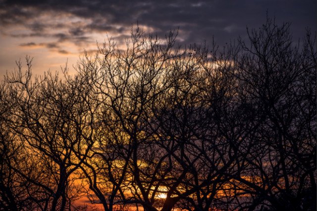 raphe evanoff's flickr