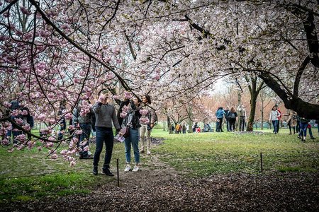 phil roeder's flickr