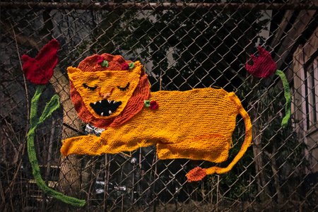alex cascone's flickr