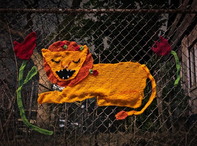 alex cascone's flickr