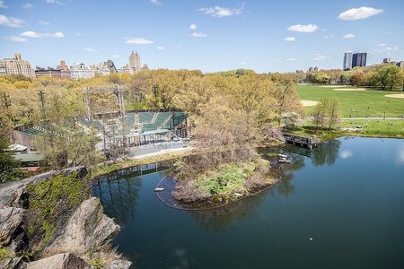 The Delacorte Theater, now home to the city's Shakespeare in the Park festival.