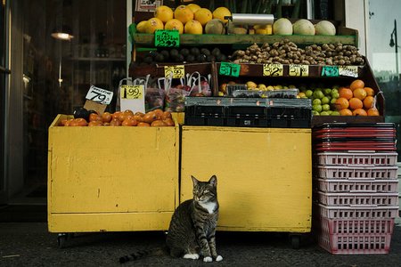 michael tapp's flickr