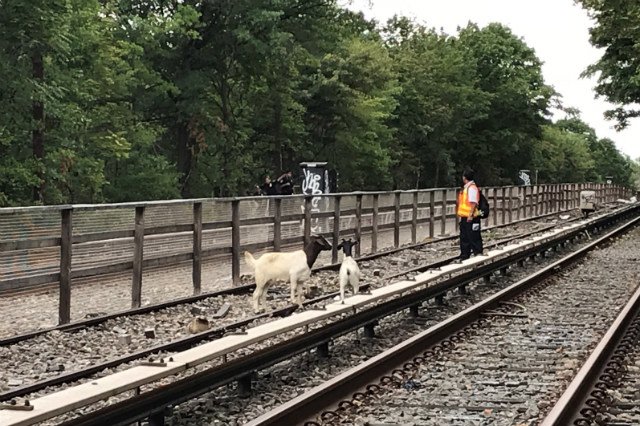 via MTA