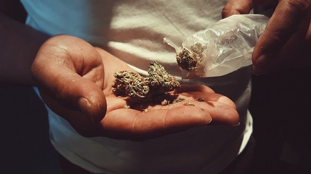 090718pot.jpg