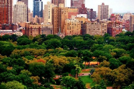 manhattan girl's flickr