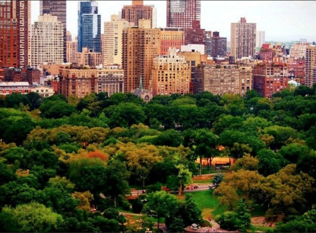 manhattan girl's flickr