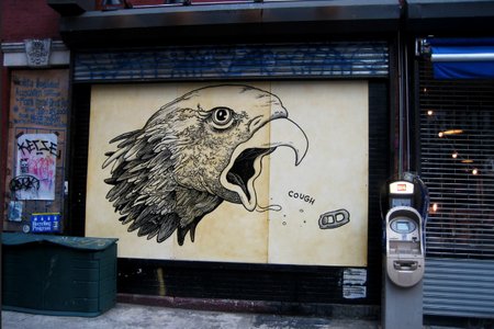 alex cascone's flickr