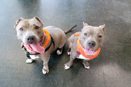 Jamie (Lucinda) on the left and Zaza (Dani) on the right<br>