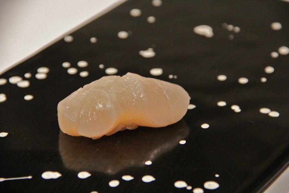 Scallop