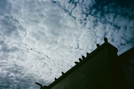 eric konon's flickr