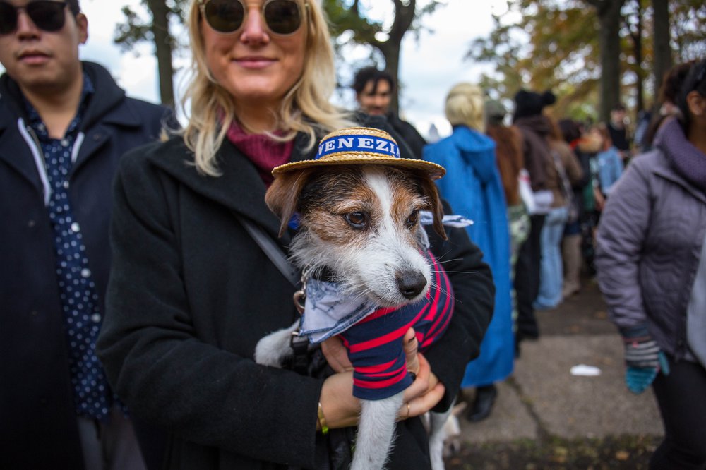132600a48dog-219-jpg.jpeg