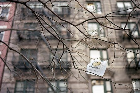 Photograph by dalioPhoto / Flickr