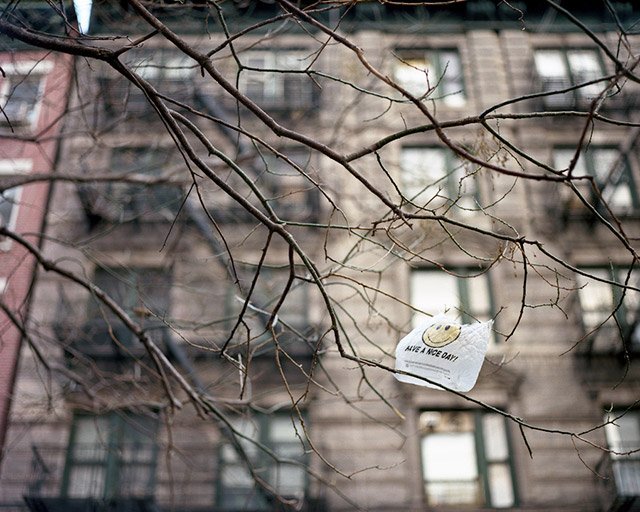 Photograph by dalioPhoto / Flickr