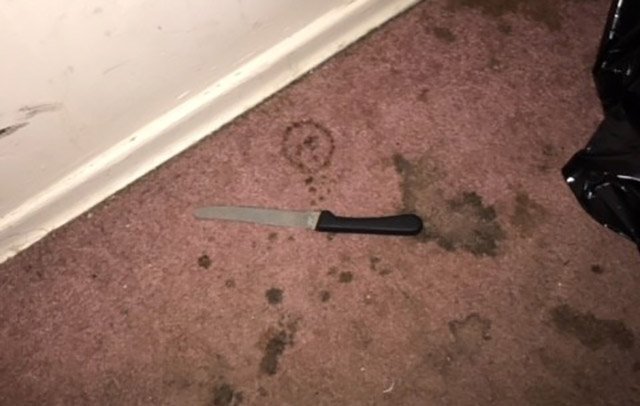 A photograph of the knife