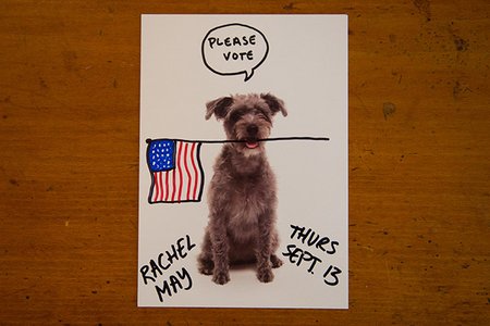 Min the schnoodle on a postcard