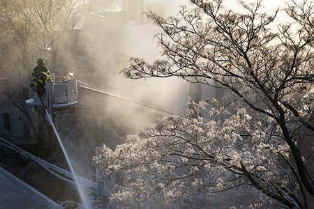 Firefighter uses hose to battle a fire in Bedford-Stuyvesant—and the water formed ice on a tree