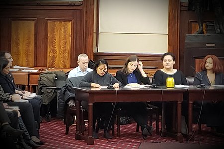 Nieves Ojendiz testifies in front of the Council