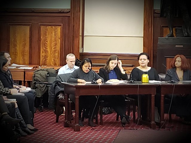 Nieves Ojendiz testifies in front of the Council