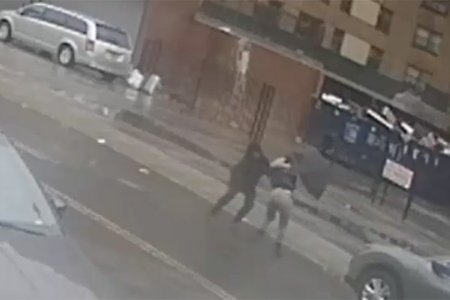 2019_03_umbrellagroper.jpg