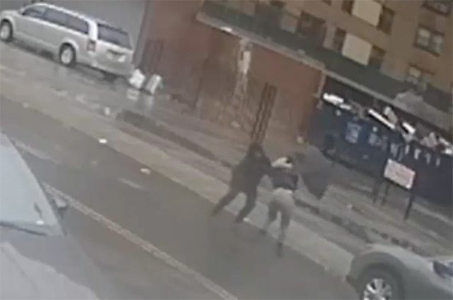 2019_03_umbrellagroper.jpg