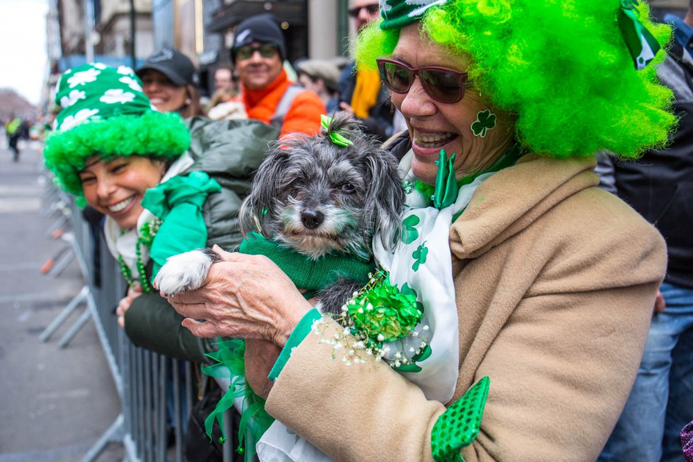 300bae9e9stpats-87-jpg.jpeg