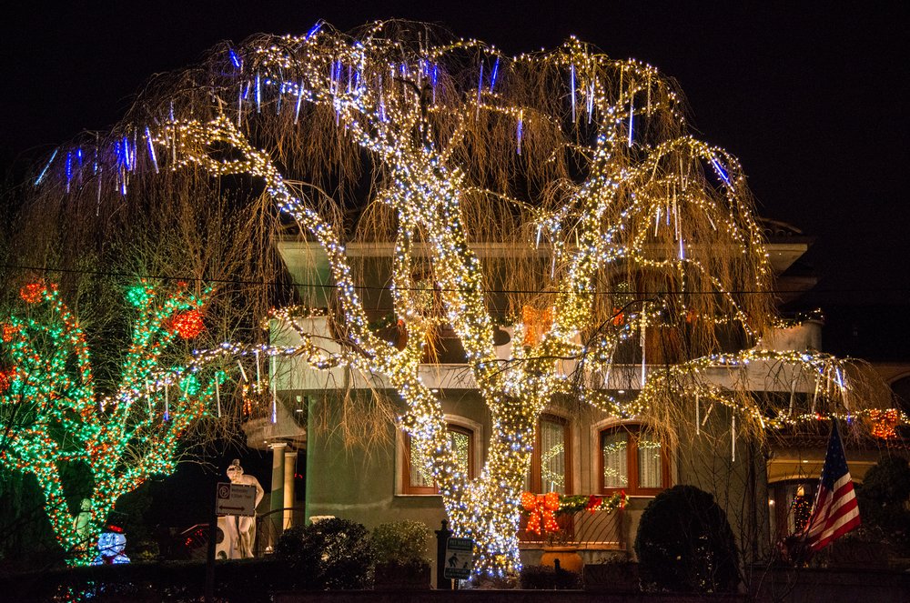 70f59f6d0navidbaraty-dykerheights-43-jpg.jpeg