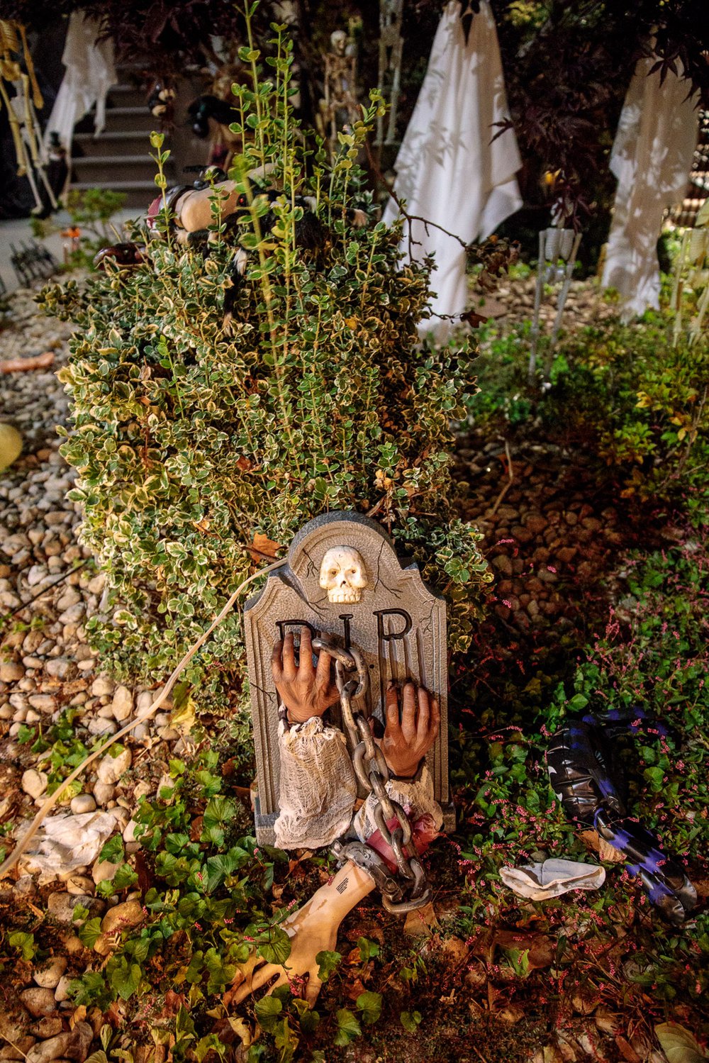 716967de9carrollgardenscobblehillhalloweendecorations-00116-jpg.jpeg