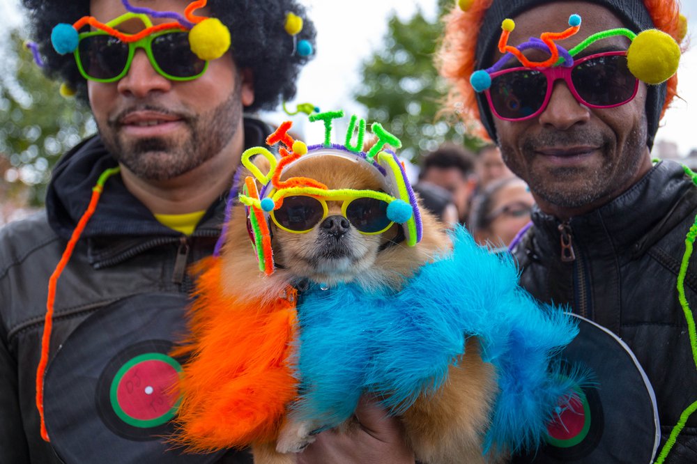 798d25c13dog-136-jpg.jpeg