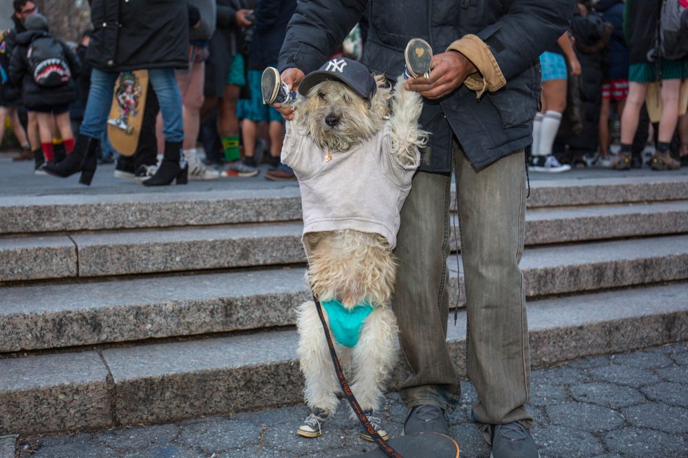 870f96227nopants-100-jpg.jpeg