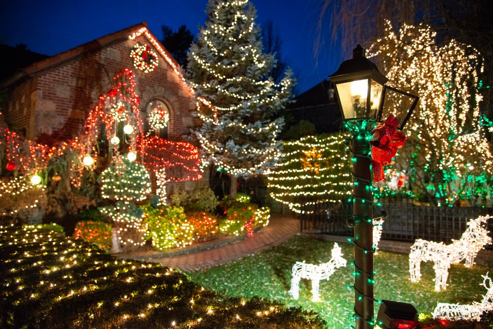 96b80f253navidbaraty-dykerheights-30-jpg.jpeg