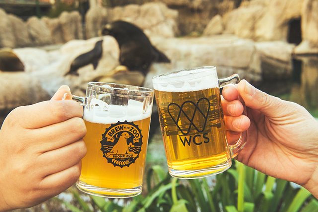 Gothamist-640x426_Julie-Larsen-Maher_8033_Brew-at-the-Zoo-Promotional_BZ_03-09-17-hy.jpg
