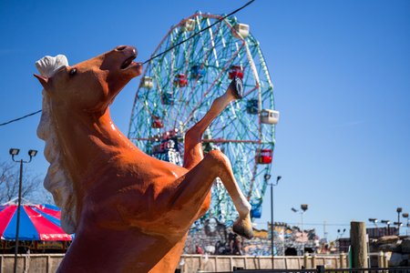 a764ed427coney-5-jpg.jpeg