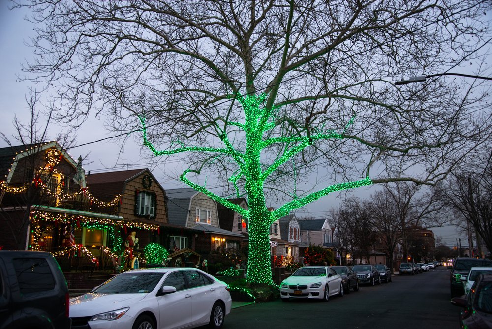 a8eca5135navidbaraty-dykerheights-1-jpg.jpeg