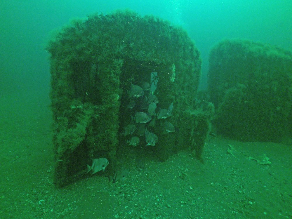 bae640c58redbird-reef-photo-by-robert-martore-courtesy-of-south-carolina-department-of-natural-resources-3-jpg.jpeg Redbird Reef, Photo by Robert Martore, Courtesy of South Carolina Department of Natural Resources<br/>