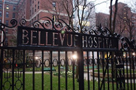 bellevue081318.jpg
