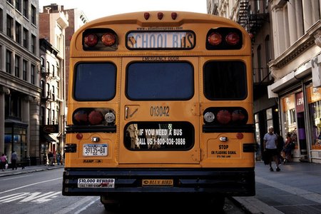 bus04.jpeg