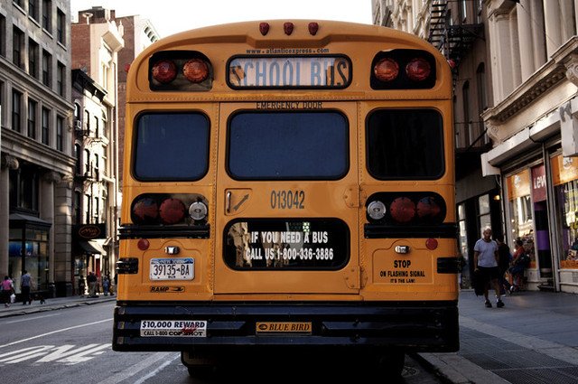 bus04.jpeg