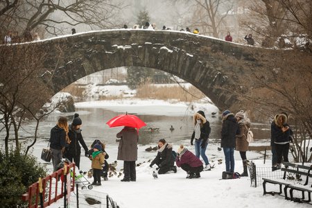 c071383ad031417marchblizzard3-20-jpg.jpeg