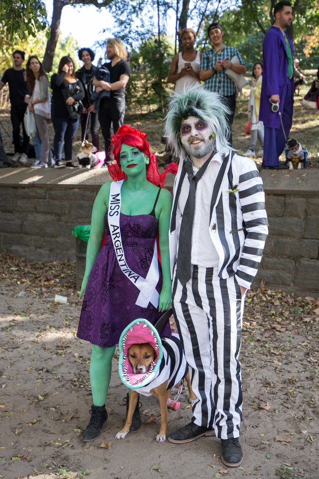 c7f6b68fb20171028-img_5409-jpg-mobile.jpeg Beetlejuice Beetlejuice Beetlejuice