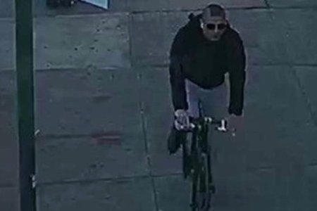 cyclist0501.jpeg
