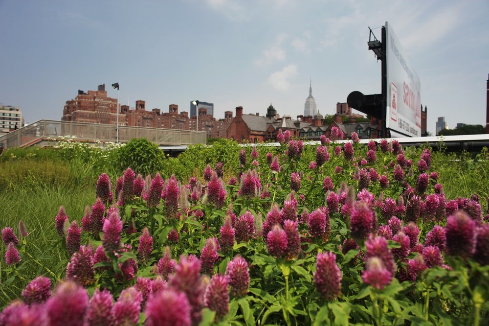 d6607ba932009_c-jpg.jpeg 2009: new planting at the park around the time it opened. (Jake Dobkin)