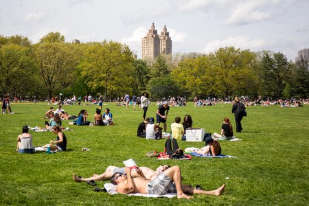 dc97b0de6centralpark-40-jpg.jpeg