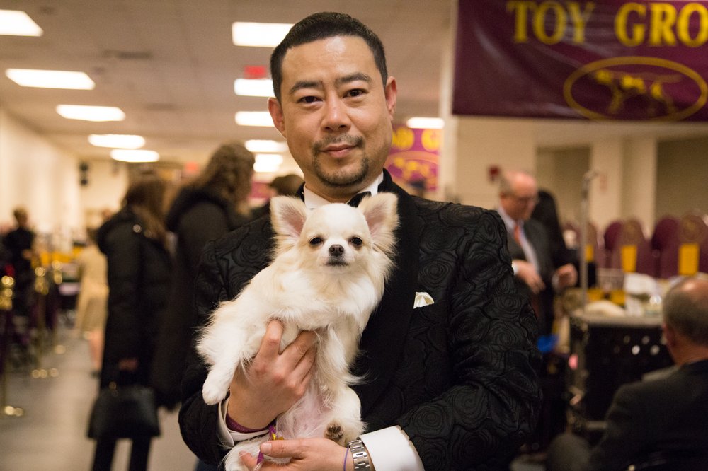 This dog loves nothing more than sneaking into the kitchen when no one is looking and  snarling at fridge photos of his owner's nieces and nephews. (Jenn Hsu/Gothamist)