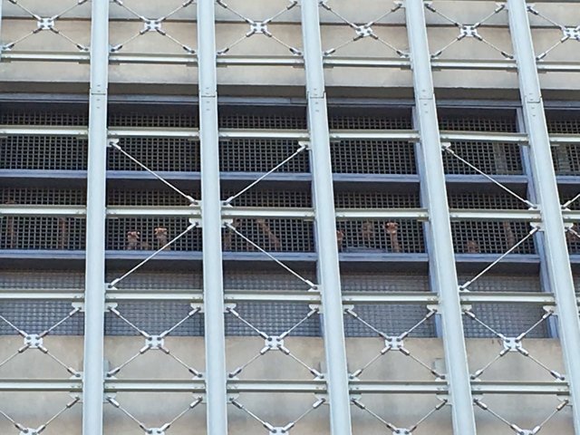 jail020519.jpg